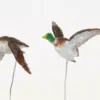 Lemax assorted birds s/5 kerstdorp accessoire 2008