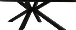 Lesli Living dining tuintafel arezzo 240x110x74cm antraciet