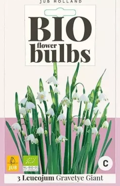 Leucojum Gravetye Giant 3 stuks biologisch geteeld
