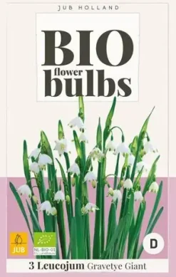 Leucojum Gravetye Giant 3 stuks biologisch geteeld