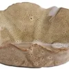 Light & Living schaal keramiek banda 21.5x18.5x6.5cm bruin