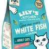 Lily's Kitchen kattenvoer met Witvis-Zalm 2kg