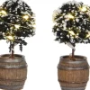 Luville General Buxus tree in a barrel 2 pieces