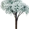 Luville General Mountain pine