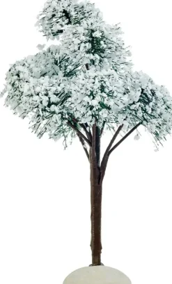 Luville General Mountain pine
