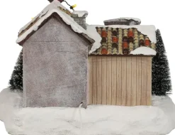 Luville Schneewald Schneewald Sint bernards home