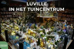 Luville Sinterklaas, Pakjesboot