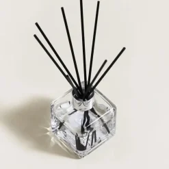 Maison Berger Paris parfumverspreider cube wilderness 100 ml