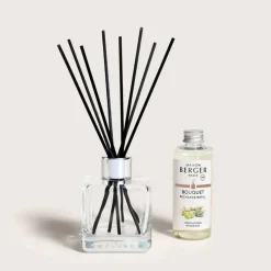 Maison Berger Paris parfumverspreider cube wilderness 100 ml