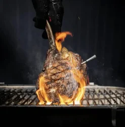 Meater Pro