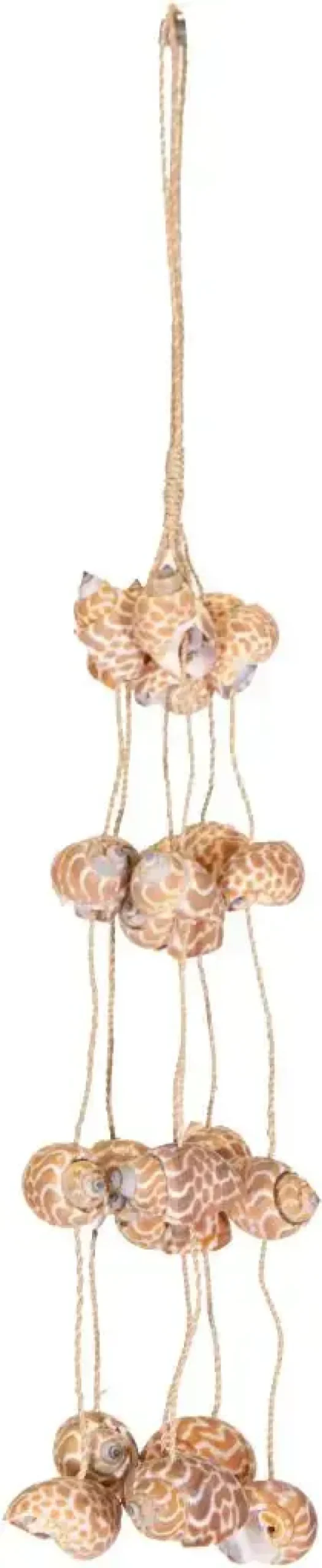 Mega Collections Xana Shell Hanger – 4-lagen – 7 x 35 cm – Wit