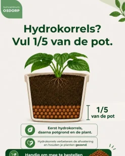 Mica Decorations bloempot Tusca 7,5x6,5 cm donkerrood