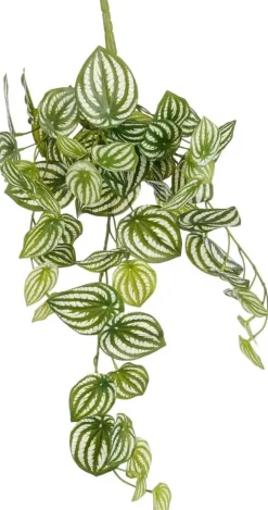 Mica Decorations kunst hangplant peperomia 65cm groen