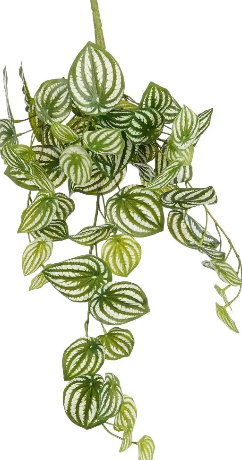 Mica Decorations kunst hangplant peperomia 65cm groen