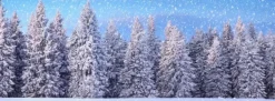 My Village Achtergrond dubbelzijdig-wintersport/bos 98x33 cm