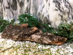 My Village Boomschors kurk 12x18 cm