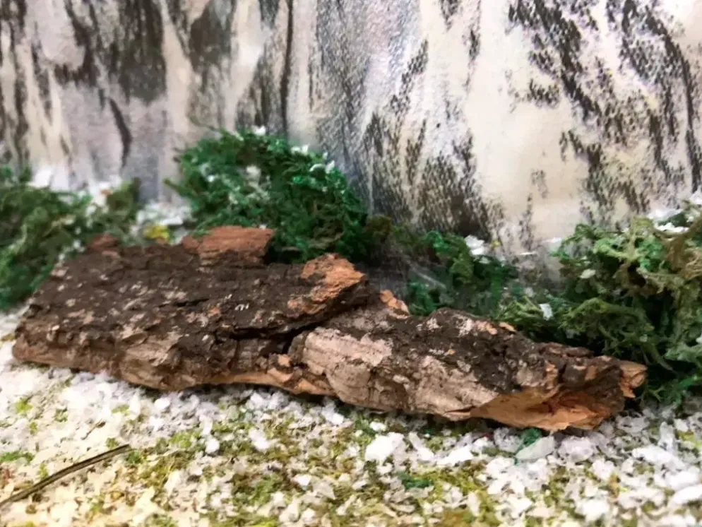 My Village Boomschors kurk 12x18 cm