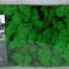 My Village Rendiermos groen 500g