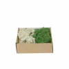 My Village Rendiermos Mix Donkergroen-Naturel 250 gr