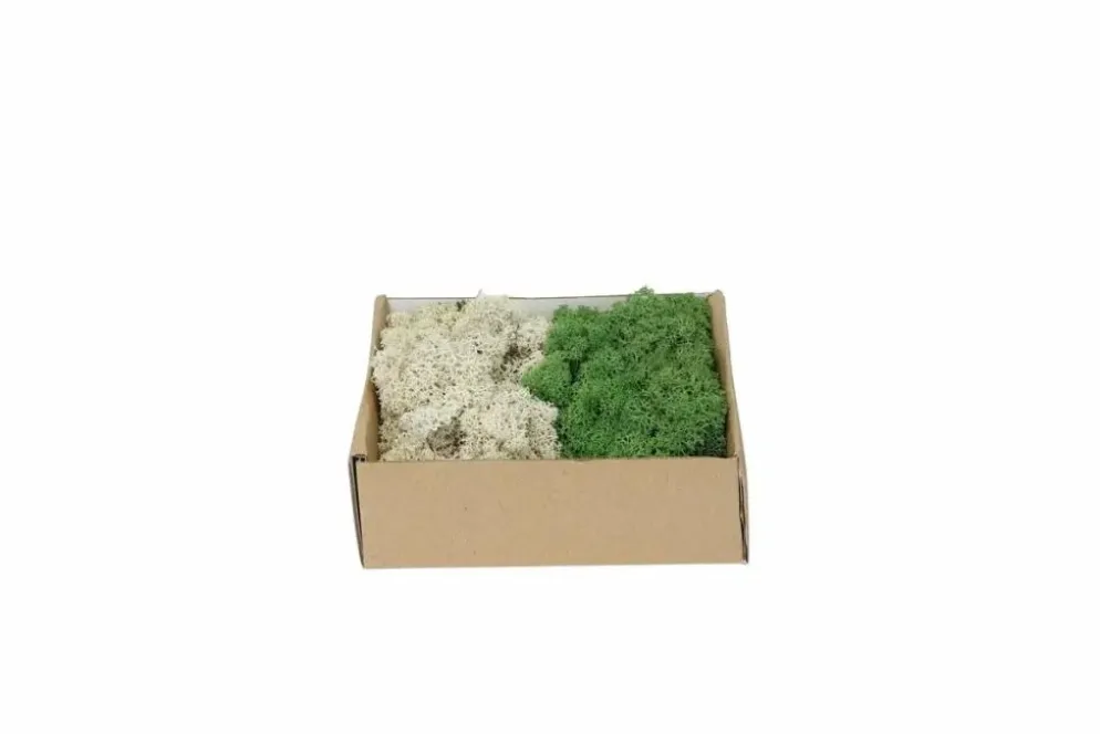 My Village Rendiermos Mix Donkergroen-Naturel 250 gr