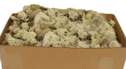 My Village Rendiermos naturel 500g