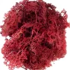 My Village Rendiermos rood 50g