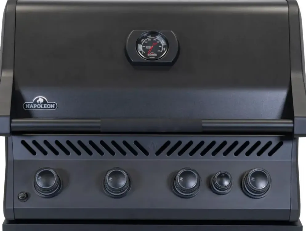Napoleon Built-in 300 Serie 32