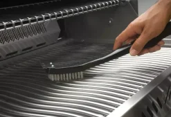 Napoleon Grillborstel voor inoxgrill