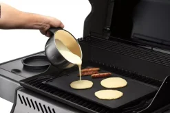 Napoleon Marinade schaal s3