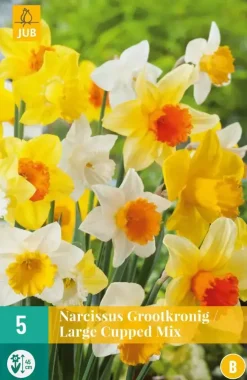 Narcissus Grootkronig mix 5 narcisbollen
