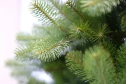 National Tree Company Bayberry spruce kunstkerstboom groen 198cm