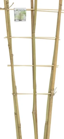 Nature bamboeplantrekje 60x24cm 2st