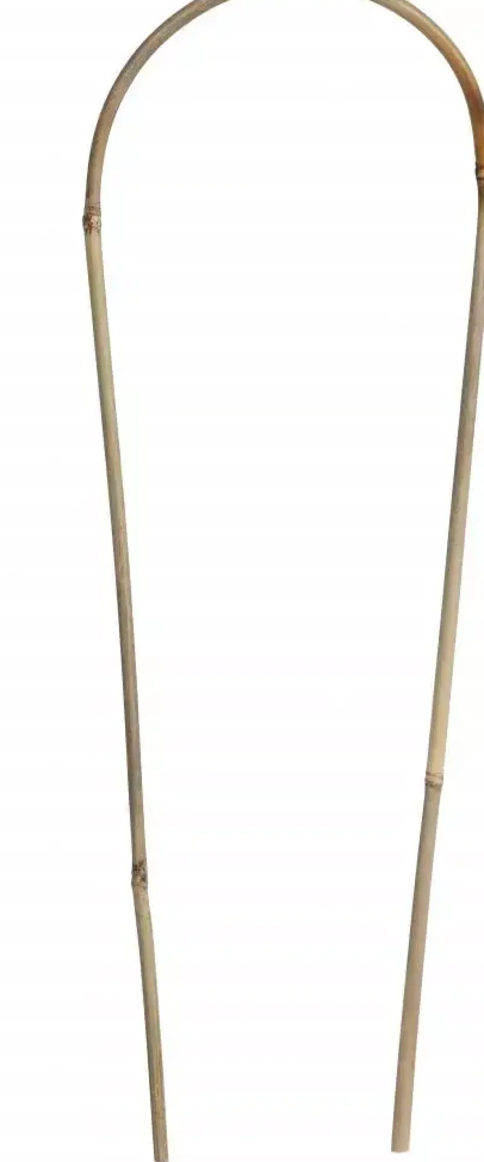 Nature Bamboestok gebogen 180 cm naturel