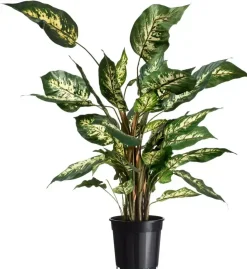Nature Container afwatering 6.3l zwart