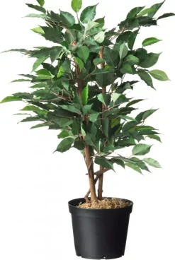 Nature Container afwatering+inkeping 5l zwart