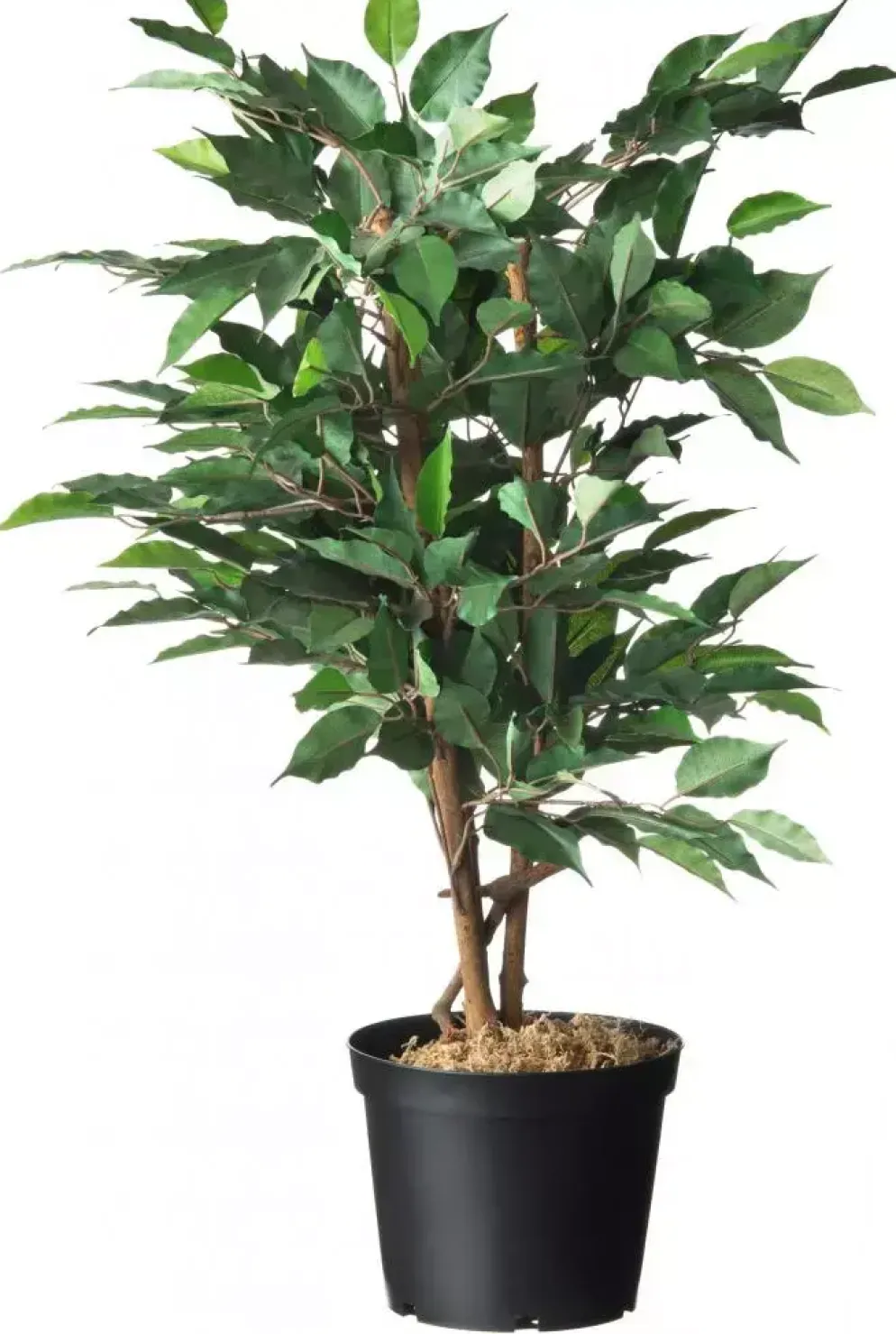 Nature Container afwatering+inkeping 5l zwart