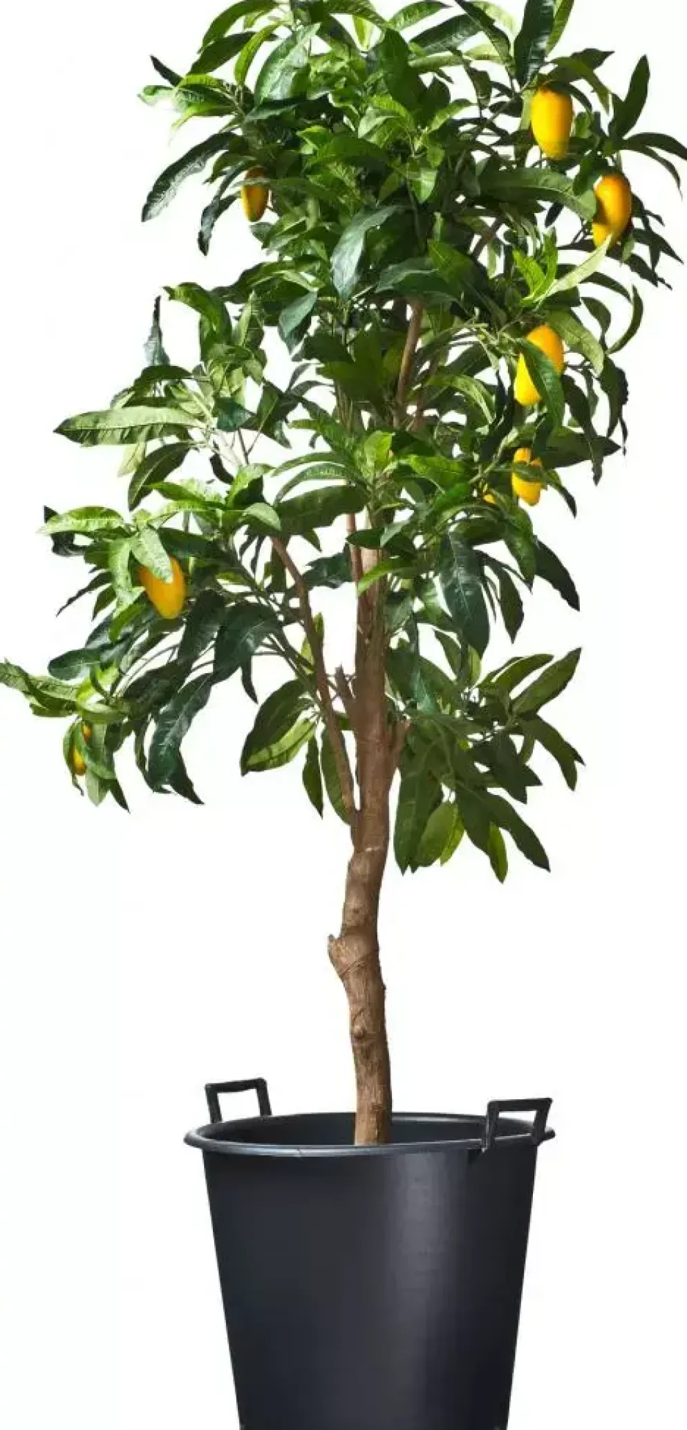 Nature Container ritzi afwatering+handgreep 110l
