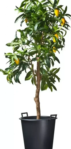 Nature Container ritzi afwatering+handgreep 85l