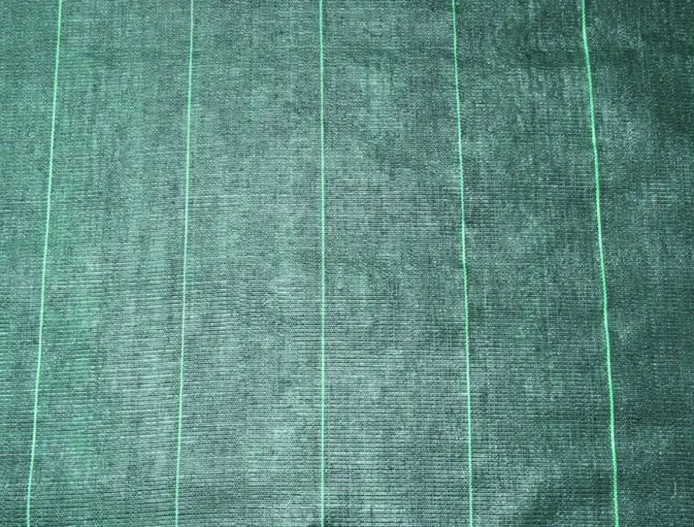 Nature Gronddoek 3,30x5 meter 100 g/m zwart