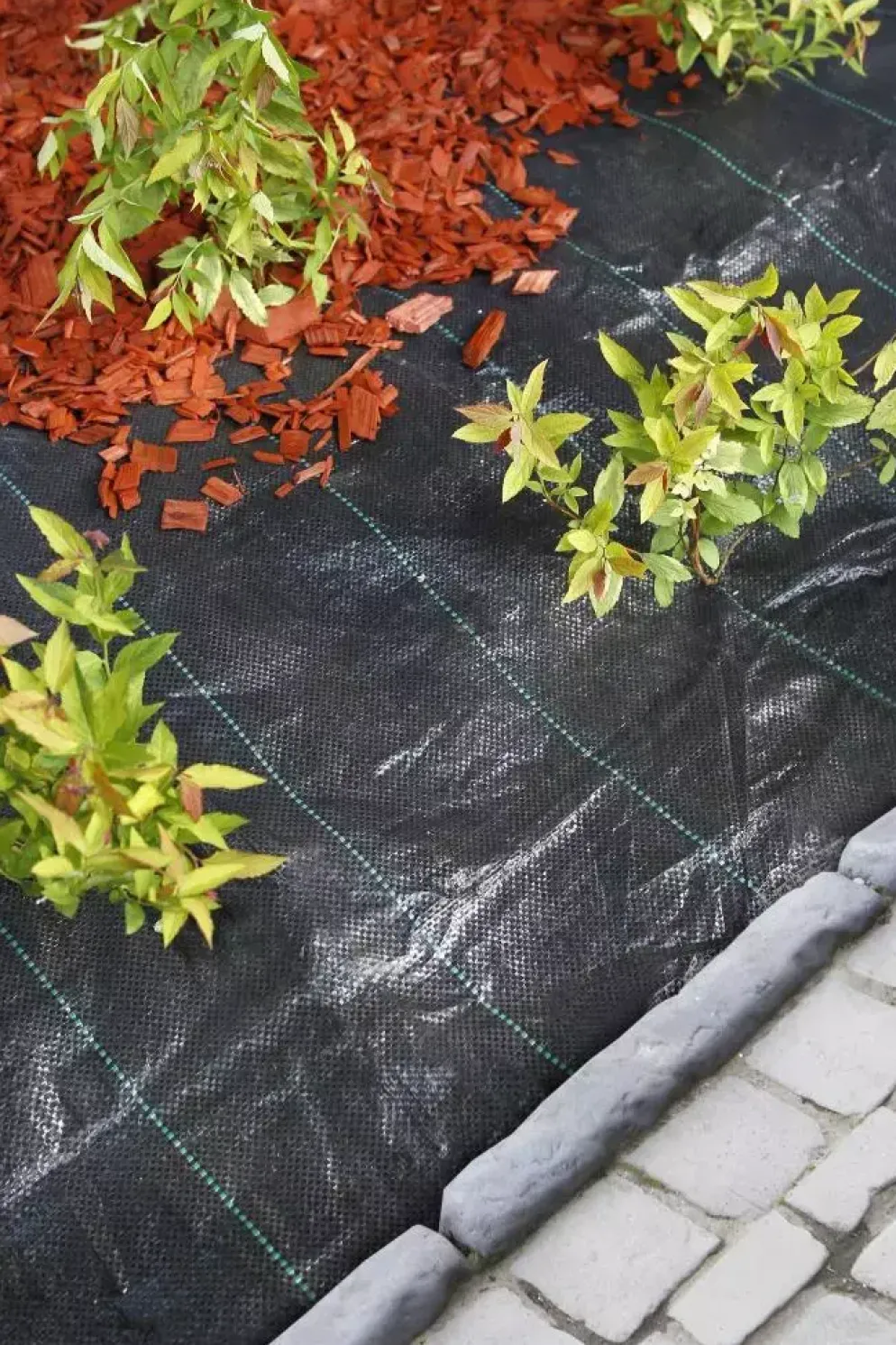 Nature Gronddoek 2x5 meter 100g/m zwart