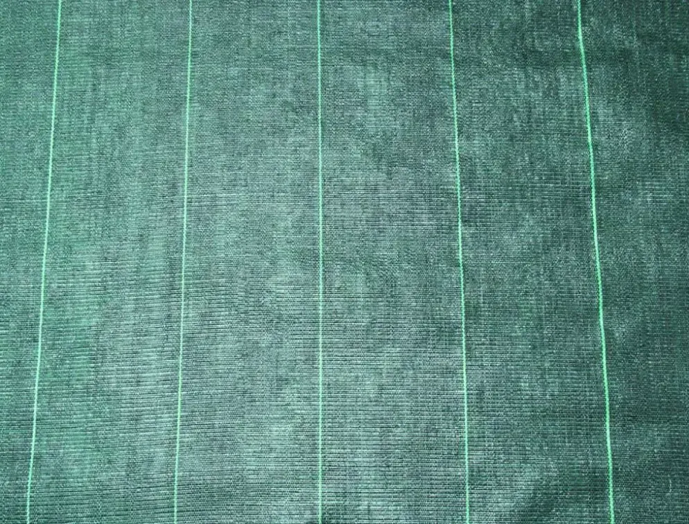 Nature Gronddoek 2x5 meter 100g/m zwart