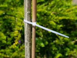 Nature Kabelbinders Nylon Transparant 30 cm – 25 stuks