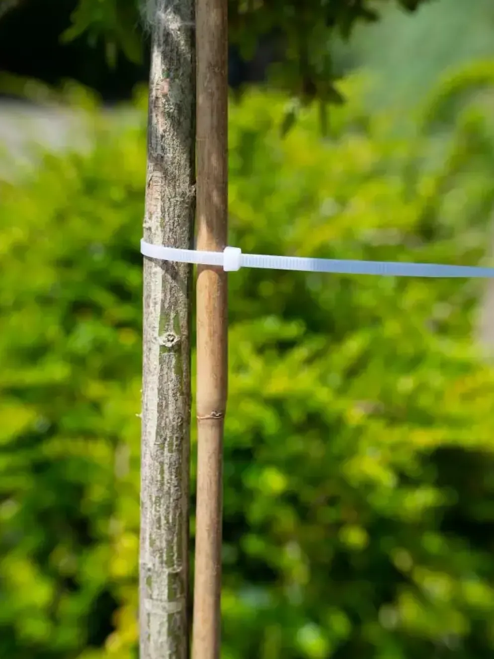 Nature Kabelbinders Nylon Transparant 30 cm – 25 stuks