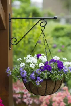 Nature Muurhaak knop zwart h31b39cm
