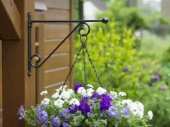 Nature Muurhaak knop zwart h31b39cm