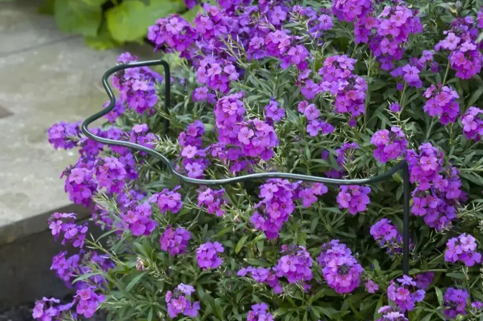 Nature Plantensteun d6mm h60x30x18cm groen
