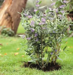 Nature Plantsteun 30b18h60cm groen
