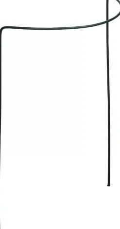 Nature Plantsteun 30b18h60cm groen