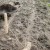 Nature Pootlijnset met 2 houten stokken en 20m touw.