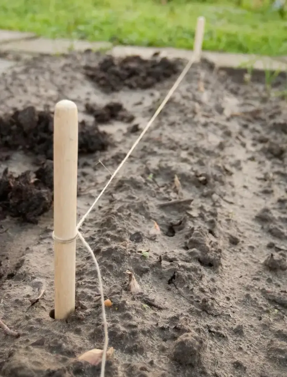 Nature Pootlijnset met 2 houten stokken en 20m touw.
